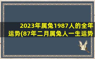 2023年属兔1987人的全年运势(87年二月属兔人一生运势)