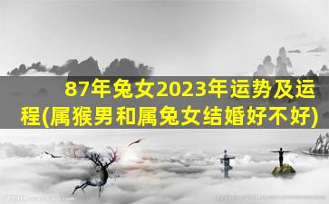 87年兔女2023年运势及运程