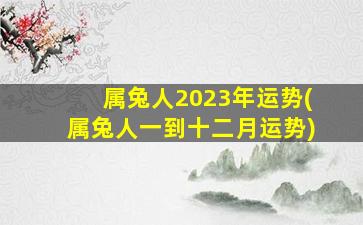 属兔人2023年运势(属兔人一到十二月运势)