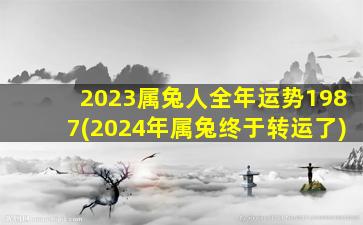 2023属兔人全年运势1987(2024年属兔终于转运了)