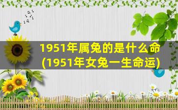 <b>1951年属兔的是什么命(1951年女兔一生命运)</b>