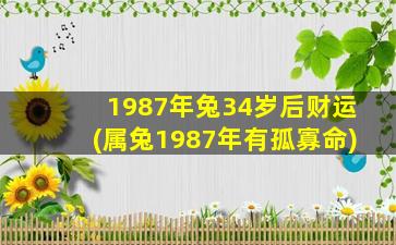 <b>1987年兔34岁后财运(属兔1987年有孤寡命)</b>