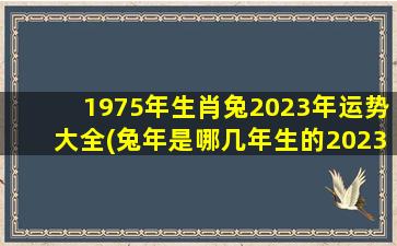 <strong>1975年生肖兔2023年运势大全</strong>