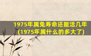 <strong>1975年属兔寿命还能活几年</strong>