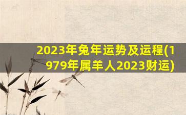 2023年兔年运势及运程(1979年属羊人2023财运)