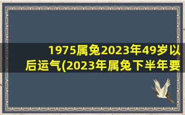 <b>1975属兔2023年49岁以后运气(2023年属兔下半年要出大事)</b>