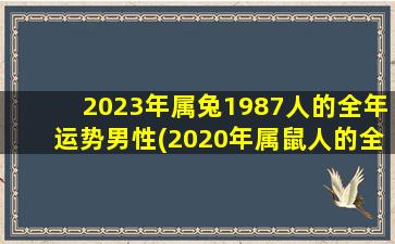 <b>2023年属兔1987人的全年运势男性(2020年属鼠人的全年运势)</b>