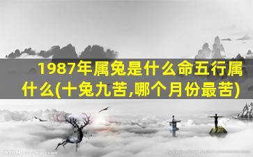 1987年属兔是什么命五行