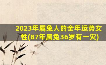 <b>2023年属兔人的全年运势女性(87年属兔36岁有一灾)</b>