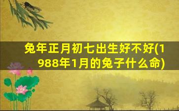 兔年正月初七出生好不好(1988年1月的兔子什么命)