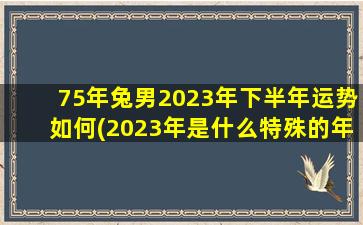 75年兔男2023年下半年运势如何(2023年是什么特殊的年)