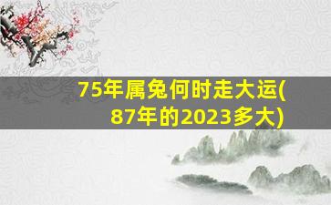 75年属兔何时走大运(87年的2023多大)