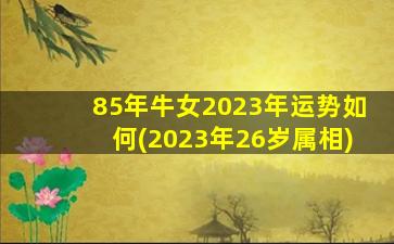 85年牛女2023年运势如何(