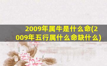 2009年属牛是什么命(2009年