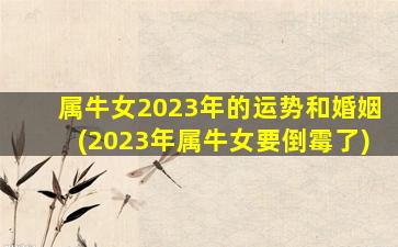 属牛女2023年的运势和婚姻