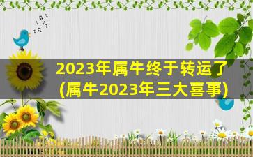 <strong>2023年属牛终于转运了(属</strong>