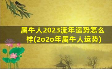 <strong>属牛人2023流年运势怎么样</strong>