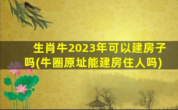 生肖牛2023年可以建房子吗