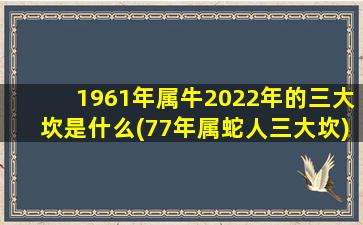 <strong>1961年属牛2022年的三大坎是</strong>