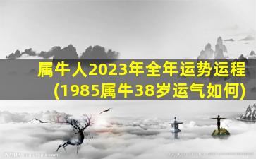 属牛人2023年全年运势运程