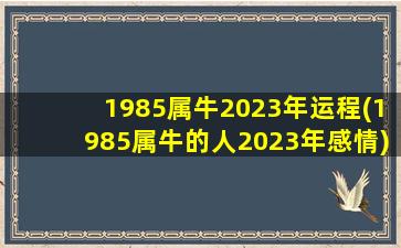 1985属牛2023年运程(1985属牛