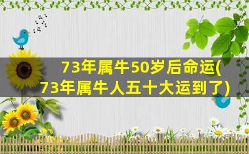 73年属牛50岁后命运(73年属