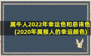 属牛人2022年幸运色和忌讳