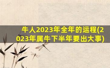 牛人2023年全年的运程(2023年属牛下半年要出大事)