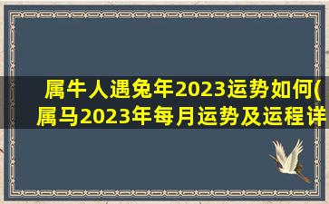 属牛人遇兔年2023运势如何