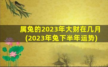 属兔的2023年大财在几月(2023年兔下半年运势)