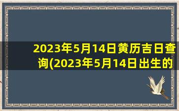 <b>2023年5月14日黄历吉日查询(2023年5月14日出生的人是哪些命)</b>