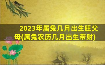 2023年属兔几月出生旺父