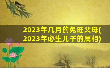 2023年几月的兔旺父母(2023年必生儿子的属相)