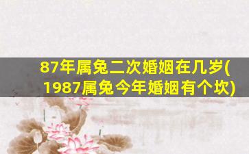 87年属兔二次婚姻在几岁(1987属兔今年婚姻有个坎)