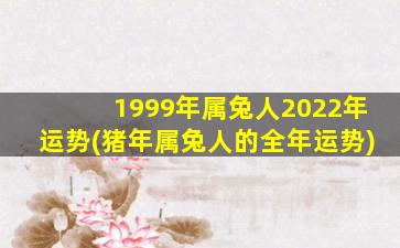 <b>1999年属兔人2022年运势(猪年属兔人的全年运势)</b>