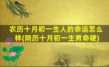 农历十月初一生人的命运怎么样(阴历十月初一生男命硬)