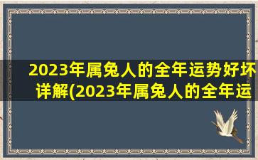 2023年属兔人的全年运势好坏详解(2023年属兔人的全年运势)