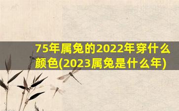 75年属兔的2022年穿什么颜色(2023属兔是什么年)