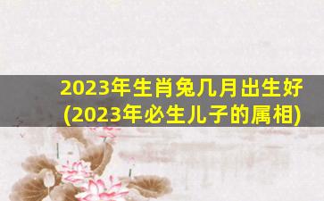 <b>2023年生肖兔几月出生好(2023年必生儿子的属相)</b>