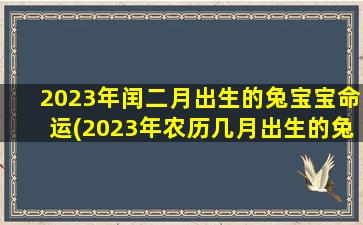 2023年闰二月出生的兔宝宝命运(2023年农历几月出生的兔宝宝最好)