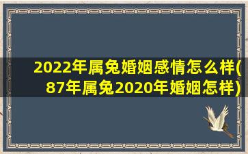 2022年属兔婚姻感情怎么样(87年属兔2020年婚姻怎样)