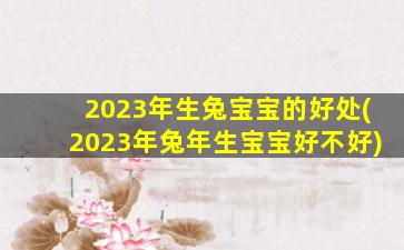 2023年生兔宝宝的好处(2023年兔年生宝宝好不好)