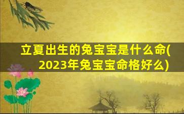 立夏出生的兔宝宝是什么命(2023年兔宝宝命格好么)