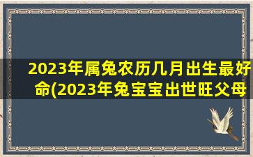 2023年属兔农历几月出生最好命(2023年兔宝宝出世旺父母)