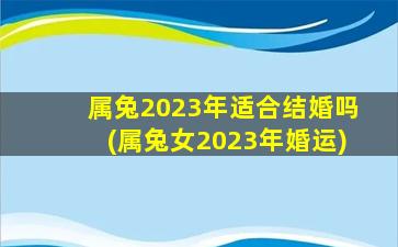 属兔2023年适合结婚吗(属兔女2023年婚运)