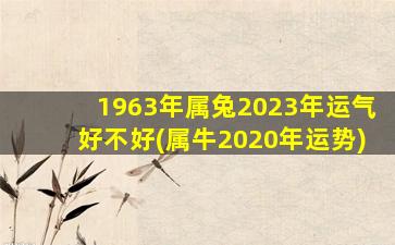 1963年属兔2023年运气好不好(属牛2020年运势)