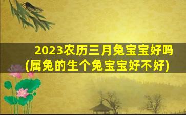 2023农历三月兔宝宝好吗(属兔的生个兔宝宝好不好)