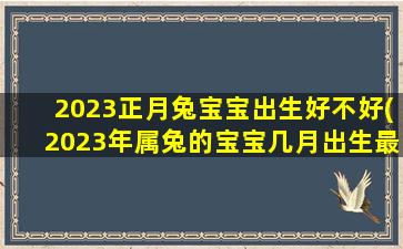 2023正月兔宝宝出生好不好(2023年属兔的宝宝几月出生最好)