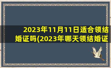 2023年11月11日适合领结婚证吗(2023年哪天领结婚证好)