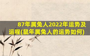 87年属兔人2022年运势及运程(鼠年属兔人的运势如何)